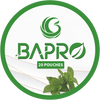 Mint Fresh Energy Pouches by Bapro: Breathe Energy, Exude Vitality